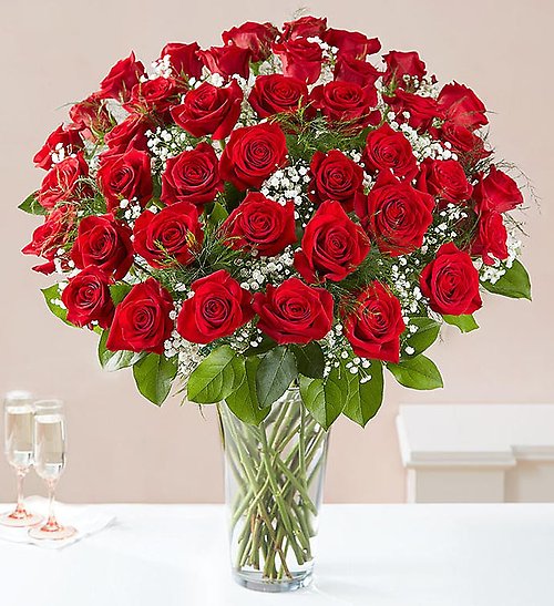 Luxury Rose Bouquet 48 Roses