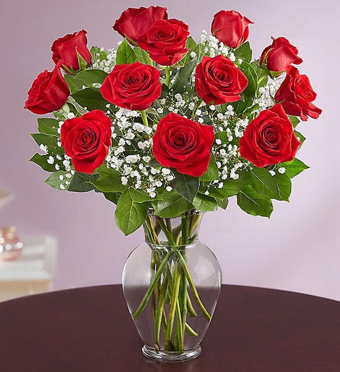 Premium Red Rose Dozen